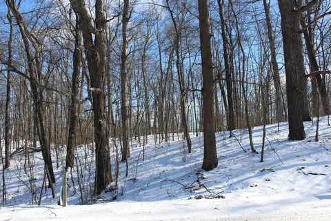 9571 N Waldron Rd, Jerome, MI 49249 photo 7