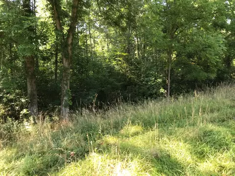 37111 Paw Paw Rd, Paw Paw, MI 49079