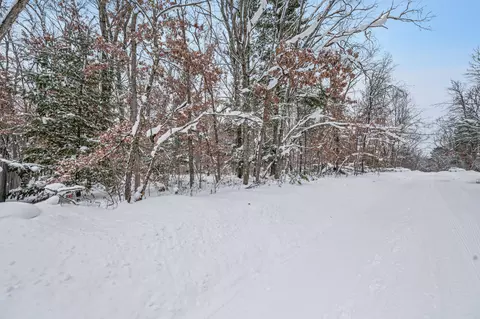 V/l Bagnall Blvd, Baldwin, MI 49304