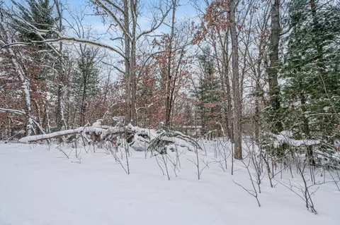 V/l Bagnall Blvd, Baldwin, MI 49304 photo 12