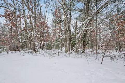 V/l Bagnall Blvd, Baldwin, MI 49304 photo 9