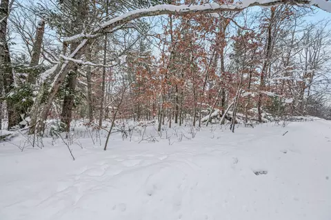 V/l Bagnall Blvd, Baldwin, MI 49304 photo 2