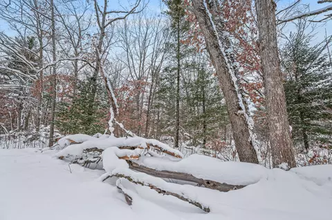 V/l Bagnall Blvd, Baldwin, MI 49304 photo 11