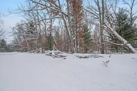 V/l Bagnall Blvd, Baldwin, MI 49304 photo 10
