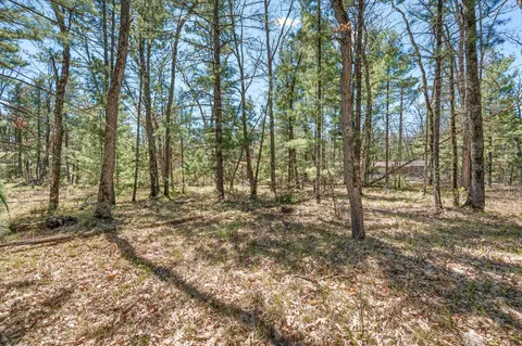 V/l Newbern Blvd, Baldwin, MI 49304 photo 5