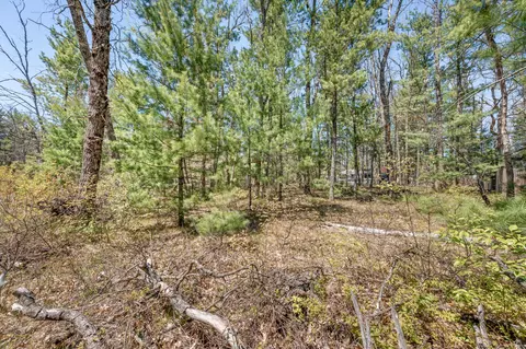 V/l Newbern Blvd, Baldwin, MI 49304 photo 3