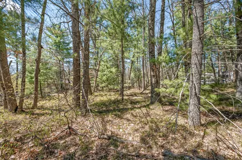 V/l Newbern Blvd, Baldwin, MI 49304 photo 4