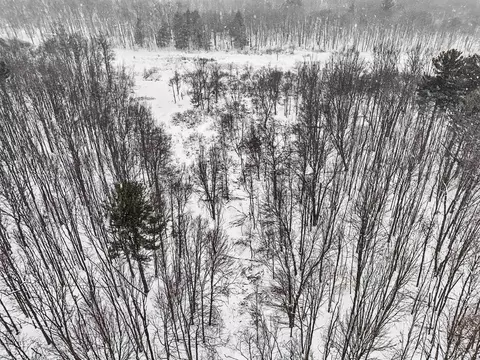 Nadeau Drive, Pullman, MI 49450 photo 14