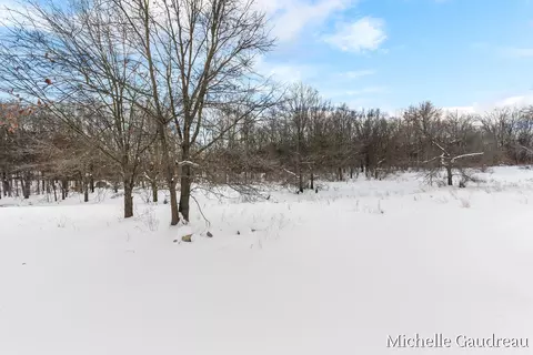 Other - 3591 Leaf Ln, Freeport, MI 49325 photo 13 of 15