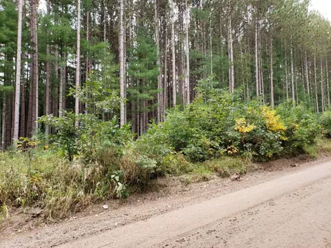 V/l Lakola Road, Leroy, MI 49655