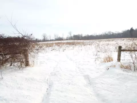 B Peacock Road, Leslie, MI 49251