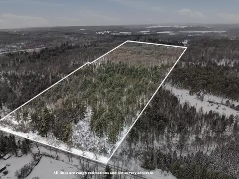 Vl 17 Mile Road, Leroy, MI 49655