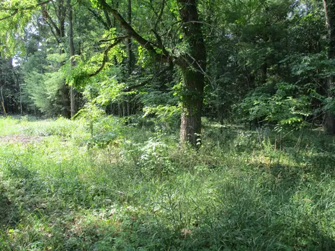 105 Th Ave #PARCEL 04, Pullman, MI 49450 photo 3