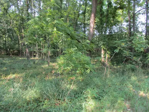 105 Th Ave #PARCEL 04, Pullman, MI 49450 photo 6
