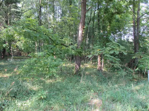 105 Th Ave #PARCEL 04, Pullman, MI 49450 photo 5