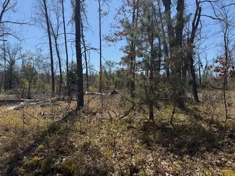 Vl Prarie Road, Idlewild, MI 49642