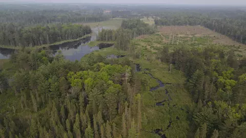 Parcel B Cherry Creek Trail, Grayling, MI 49738