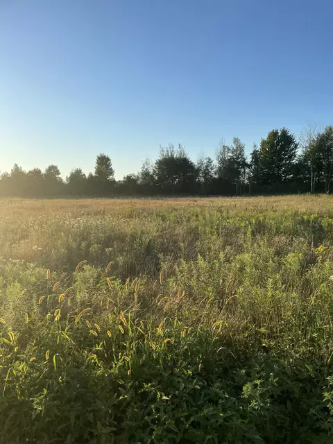 6441 S Sullivan Rd, Nunica, MI 49448