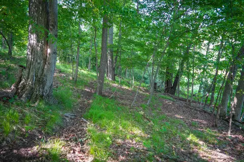 5100 Long Lake Rd, Reading, MI 49274 photo 38