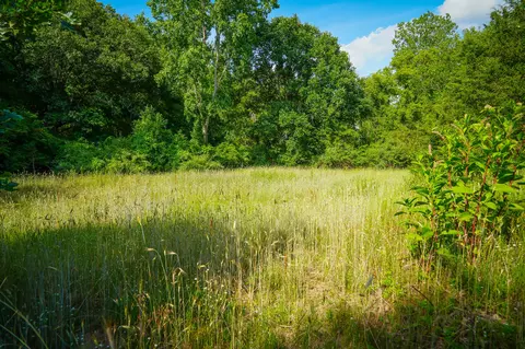 5100 Long Lake Rd, Reading, MI 49274 photo 41