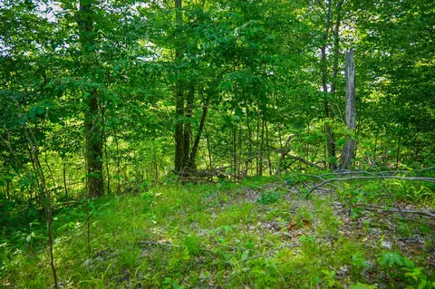 5100 Long Lake Rd, Reading, MI 49274 photo 35