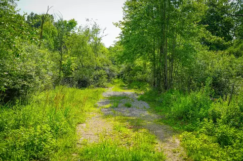 5100 Long Lake Rd, Reading, MI 49274 photo 34