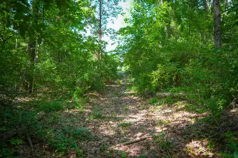 5100 Long Lake Rd, Reading, MI 49274 photo 14
