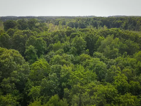5100 Long Lake Rd, Reading, MI 49274 photo 7