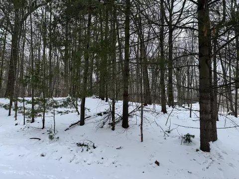 10953 Shawnee Trl, Stanwood, MI 49346