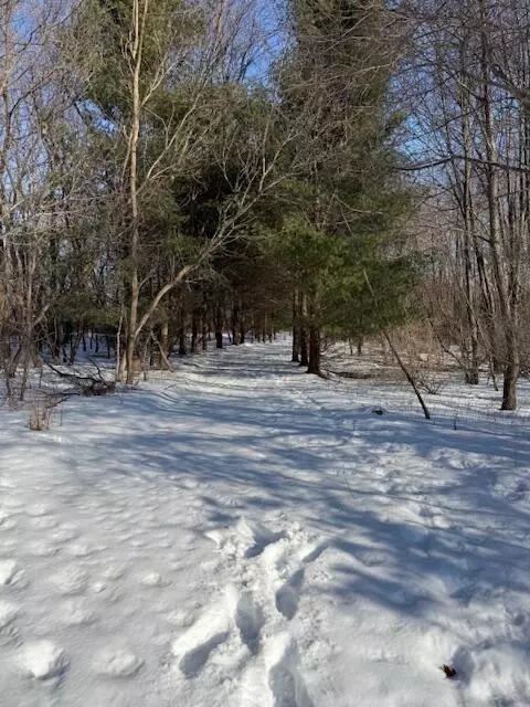 Warner Road, Laingsburg, MI 48848