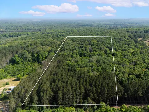 Vl W Phelps Road, Manton, MI 49663