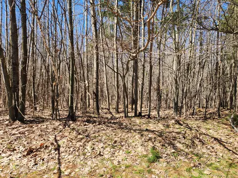 w starlight ridge circle, Onekama, MI 49675