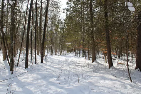 6095 E M 20, Hesperia, MI 49421 photo 31