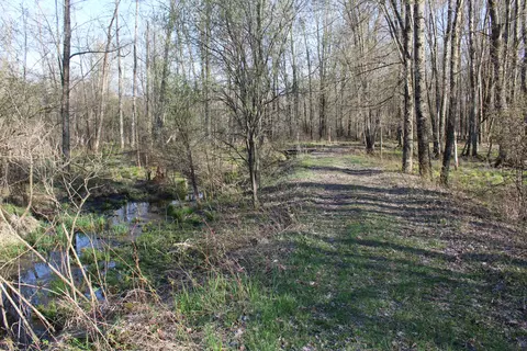 6095 E M 20, Hesperia, MI 49421 photo 37