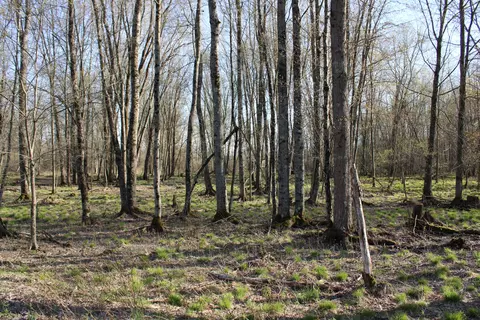 6095 E M 20, Hesperia, MI 49421 photo 38