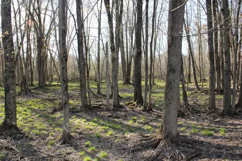 6095 E M 20, Hesperia, MI 49421 photo 45