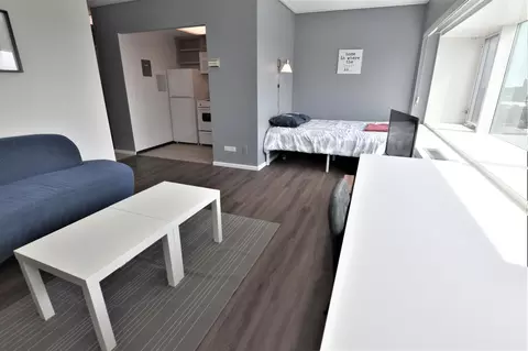 Living - 555 E William St #16K, Ann Arbor, MI 48104 photo 3 of 4
