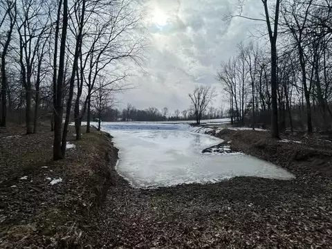 5018 S Rumsey Rd, Pittsford, MI 49271