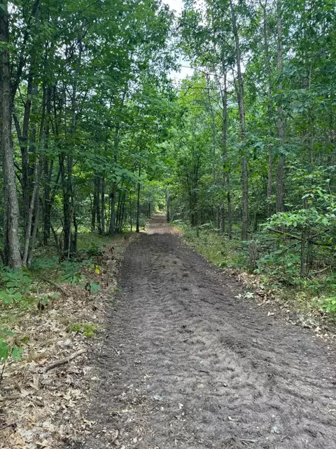 V/l Dexter Road, Wellston, MI 49689