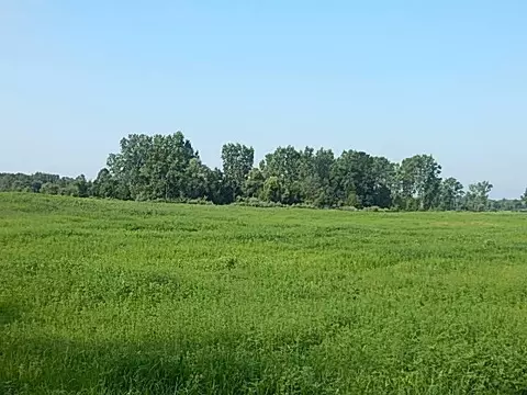 1611 E Hyde Rd, Saint Johns, MI 48879