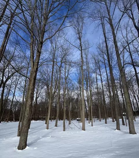 V/l Timberlane Drive, Jones, MI 49061