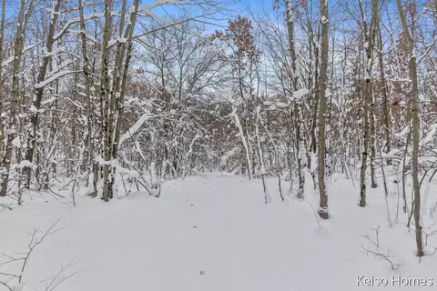 1072 N Bingham Ave, White Cloud, MI 49349 photo 48