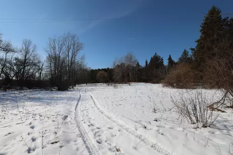 Undisclosed, Greenville, MI 48838