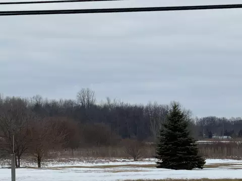 3301 S Custer Rd, Monroe, MI 48161 photo 3