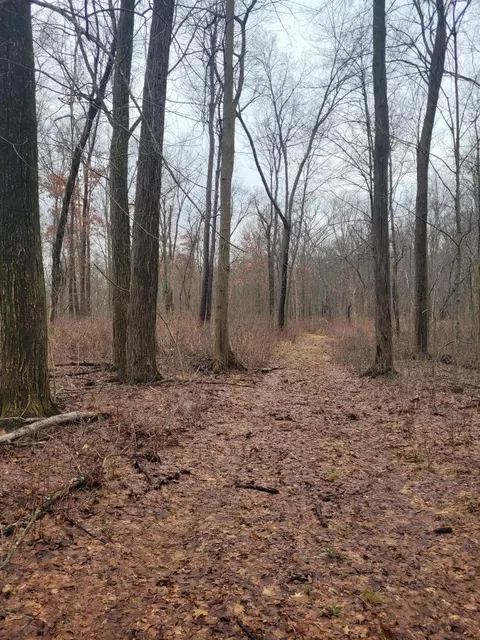 Coohon Road, Colon, MI 49040