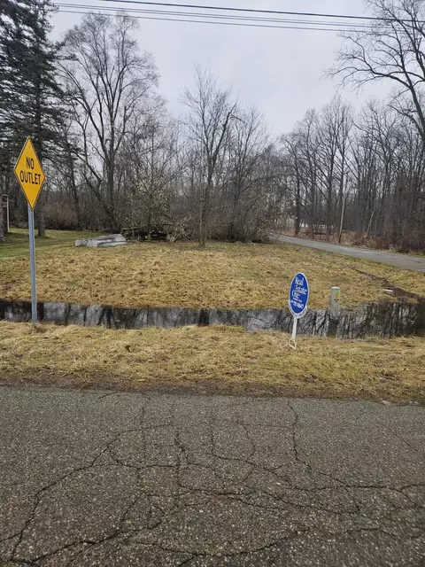 5901 Monroe Rd, Olivet, MI 49076