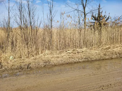 0 Carleton West Rd, New Boston, MI 48164