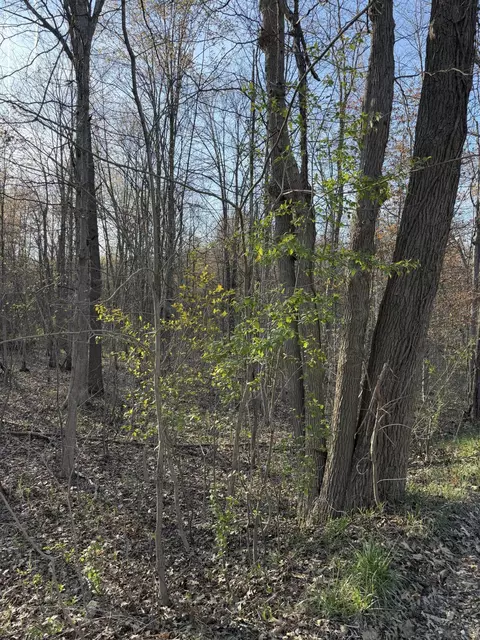 5409 105th Ave, Pullman, MI 49450 photo 5