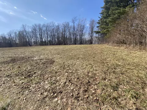 Bailey Lane, Buchanan, MI 49107 photo 10