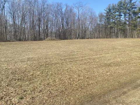 Bailey Lane, Buchanan, MI 49107 photo 3